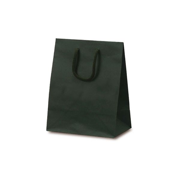 ベルベ 紙袋 手提袋 T-2 カラークラフト グリーン 1026 1袋(10枚)
