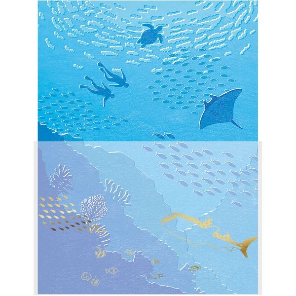 包む レターセット 海と魚たち TL065 1冊