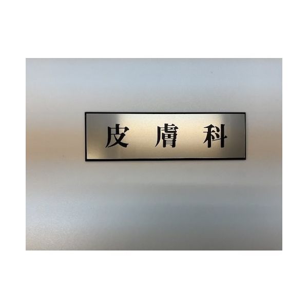 光 サインプレート 皮膚科 PL110-30 1セット(5枚) 359-1795（直送品）