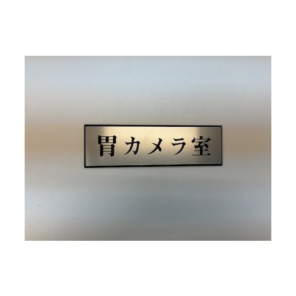 光 サインプレート 胃カメラ室 PL110-149 1セット(5枚) 359-8122（直送品）