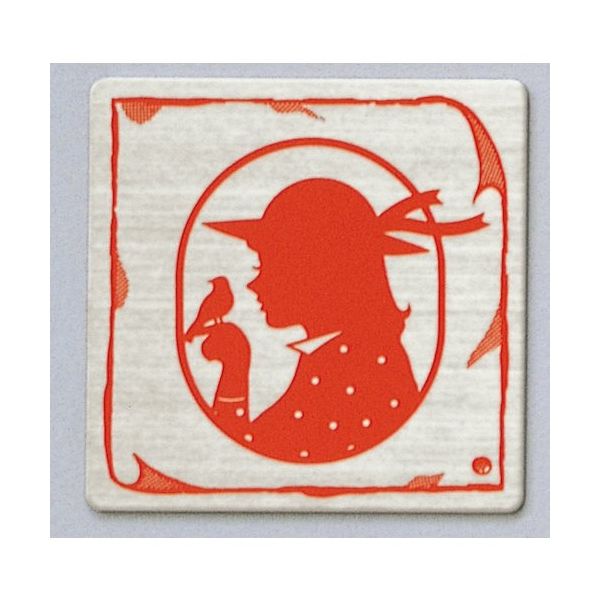 光 サインプレート 女 FS893-28 1枚 346-9737（直送品）