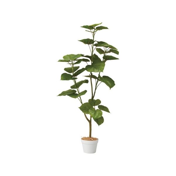 アズワン フィカスウンベラータ(フェイクグリーン 人工樹木)130cm 65-9345-84 1個（直送品）