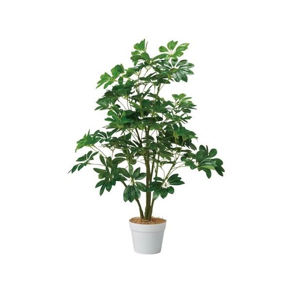 アズワン シェフレラ(フェイクグリーン 人工樹木)100cm 65-9345-86 1個（直送品）