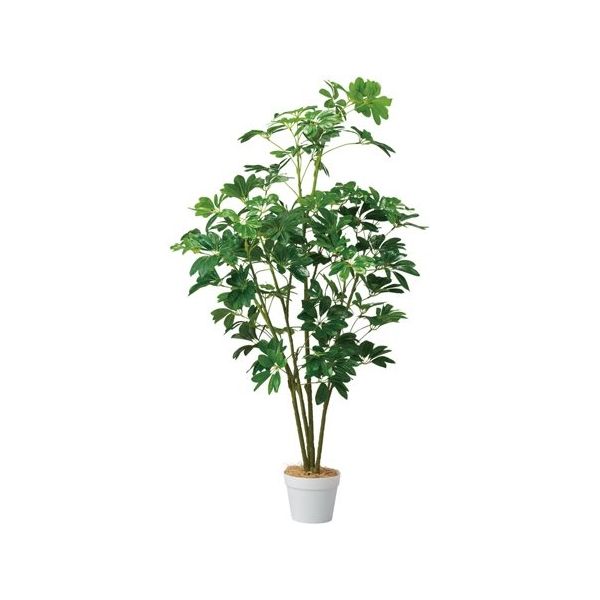 アズワン シェフレラ(フェイクグリーン 人工樹木)135cm 65-9345-87 1個（直送品）
