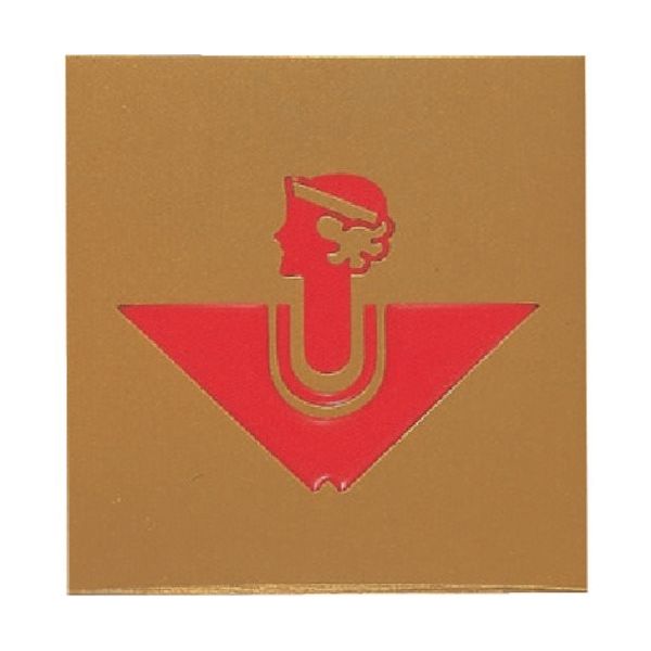 光 サインプレート 女 RA1118-2 1枚 360-2784（直送品）