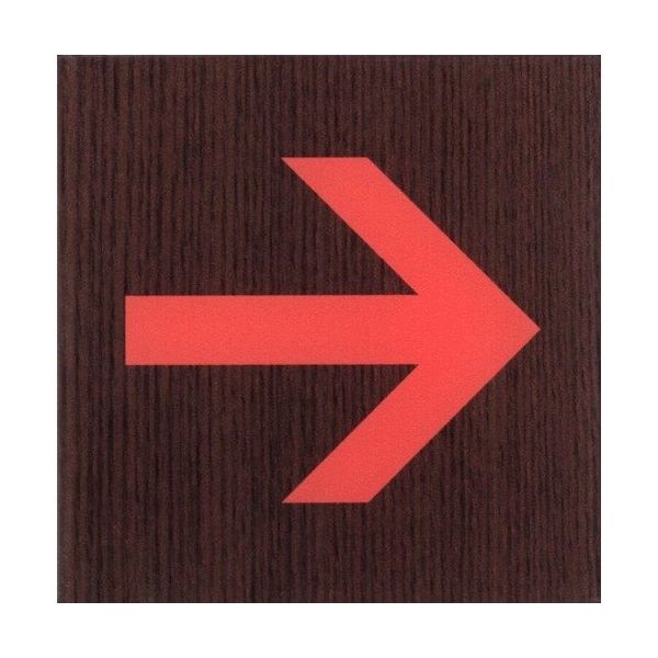 光 サインプレート 矢印 WMS1008-5 1セット(5枚) 360-1249（直送品）