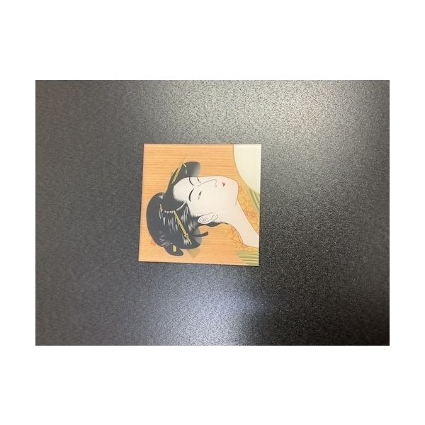 光 サインプレート 和風 女 WMS1117-2 1セット(5枚) 360-1252（直送品）