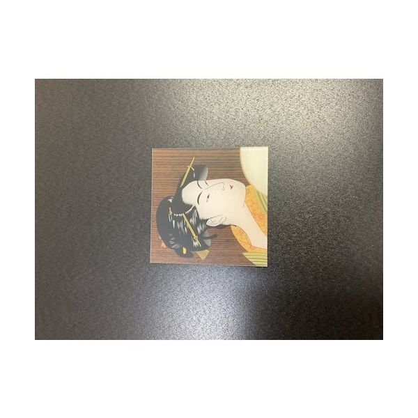 光 サインプレート 和風 女 WMS1118-2 1セット(5枚) 360-1222（直送品）