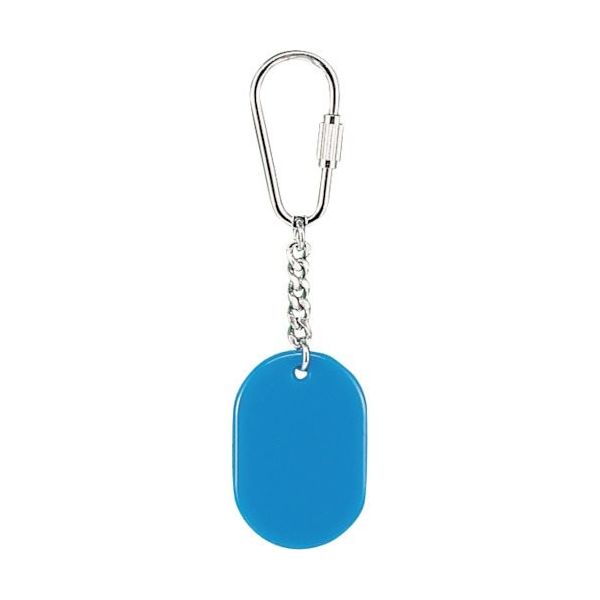 光 キーホルダー スカイブルー KY317-6 1セット(10個) 353-2242（直送品）