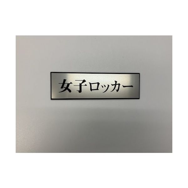 光 サインプレート 女子ロッカー PL110-104 1セット(5枚) 346-9716（直送品）