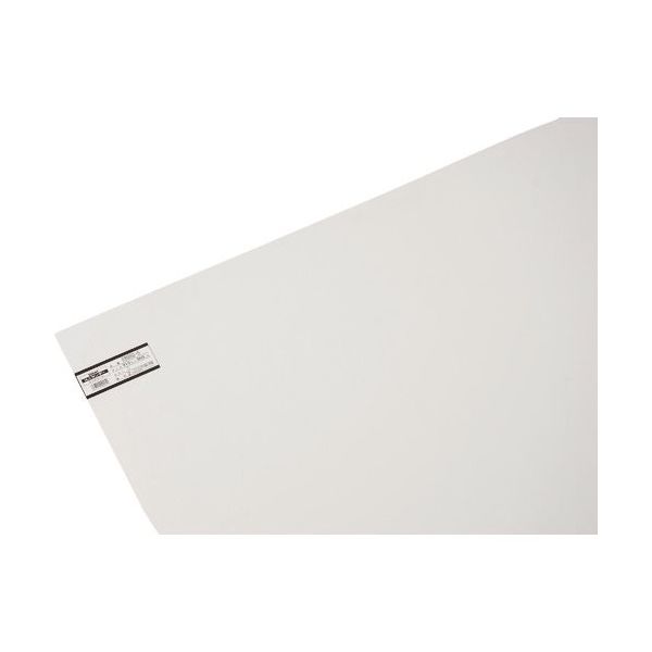 光 エンビ板 白 2×910×900mm EB992-5 1枚 215-5924（直送品）