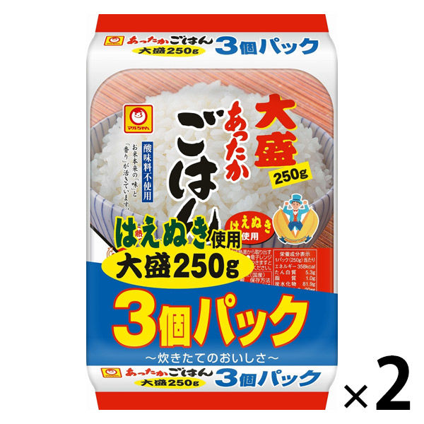 パックごはん 6食 あったかごはん大盛250g（3食入）× 2個 東洋水産 米加工品 包装米飯