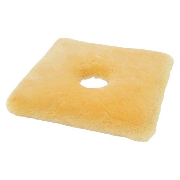 ウィズ NRカルファクッション