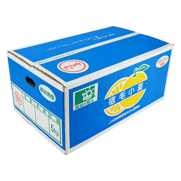 ベジテック 高知県産 小夏 5.0kg vege214 1ケース（直送品）