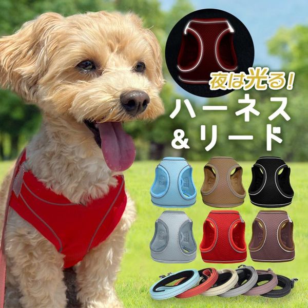 ベスト・アンサー ハーネス&リードセット 胴輪 首輪 小型犬 中型犬 ベージュ pet-075-be-l 1セット（直送品）