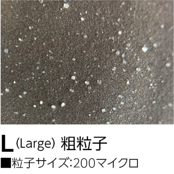 ターナー色彩 シュレイパージェッソ L 粗粒子 透明 450ml 10071 1セット(2個)（直送品）