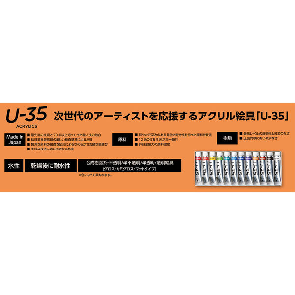 ターナー色彩 Uー35アクリリックス11ml紙箱12色13本セット 107747 1セット(2包)（直送品）