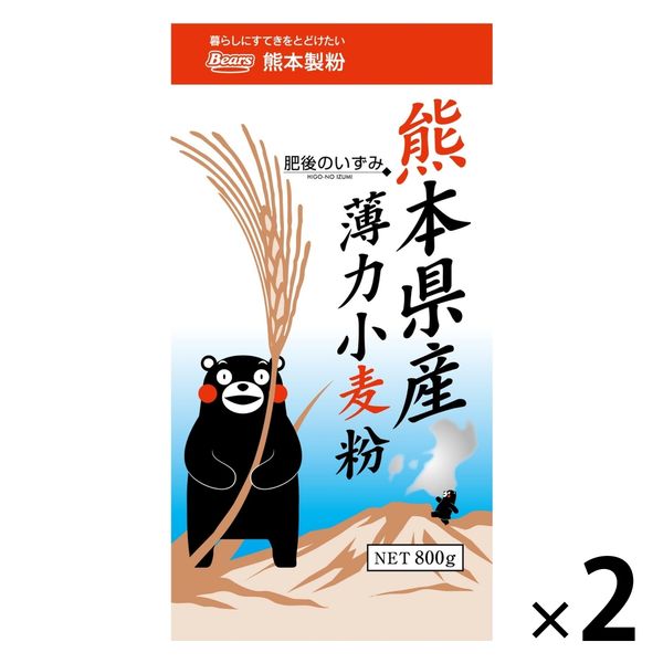 熊本製粉 熊本県産薄力小麦粉 肥後のいずみ 800g 1セット（1個×2）