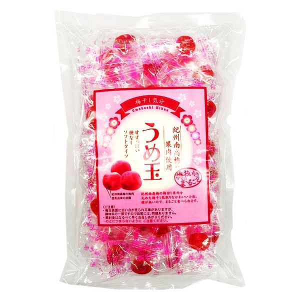 塩分商材 塩分補給 塩分対策 おやつ うめ玉 種なし 紀州南高梅の果肉使用 50粒入 1個 テラモト