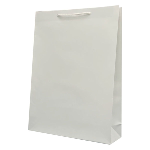 マツシロ さすてな紙袋 ペーパーバック 「せっかい」大タテ 10枚セット 62SULL 1包（直送品）