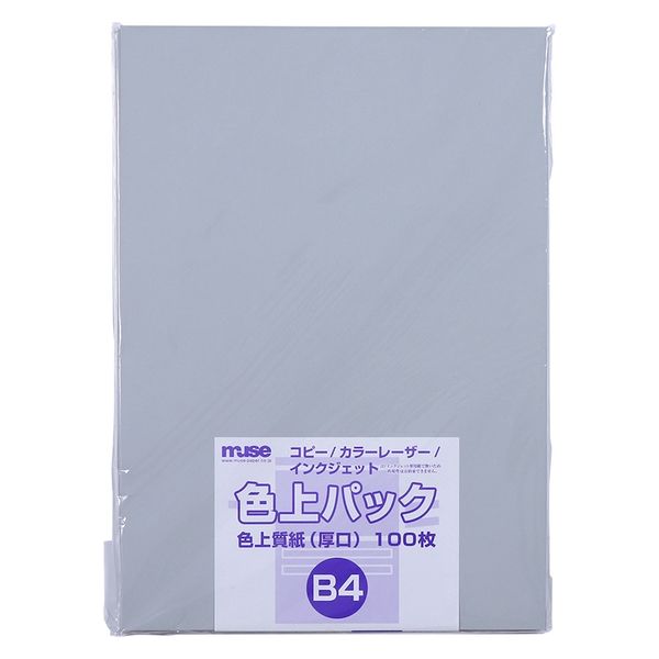 ミューズ 色上パック 色上質紙 厚口 B4 100枚入 銀鼡 300368 1セット(1パック×2)（直送品）