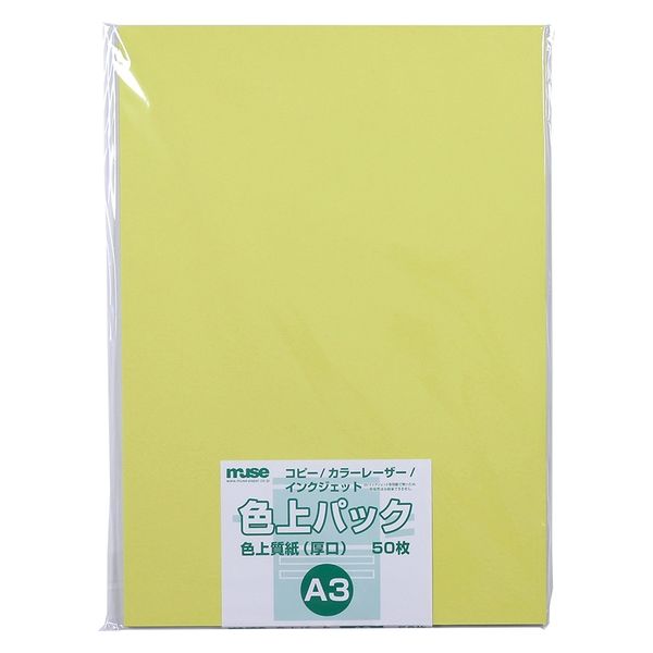 ミューズ 色上パック 色上質紙 厚口 A3 50枚入 黄色 301204 1セット(1パック×2)（直送品）