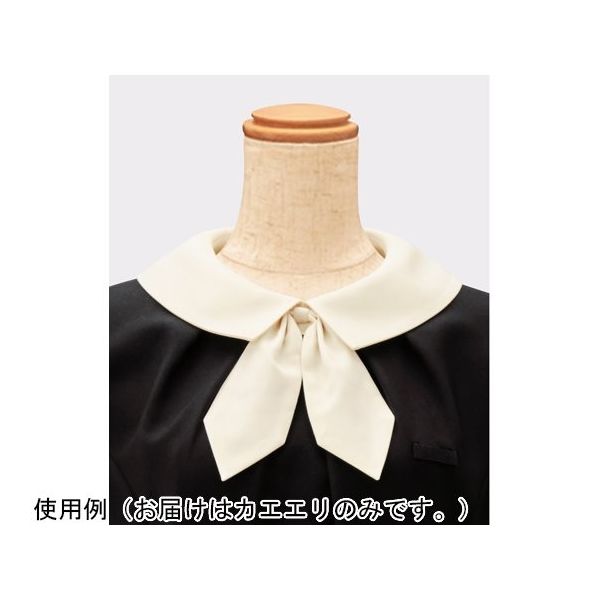 ボストン商会 カエエリ ベージュ 13 18216 1個 64-9069-15（直送品）