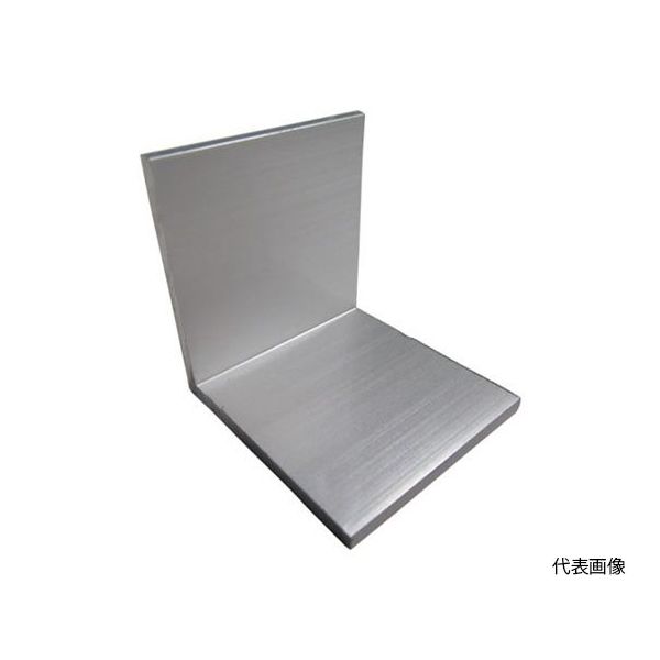 アルインコ アルミアングルピース40 シルバー FA302S 1本 64-5003-54（直送品）