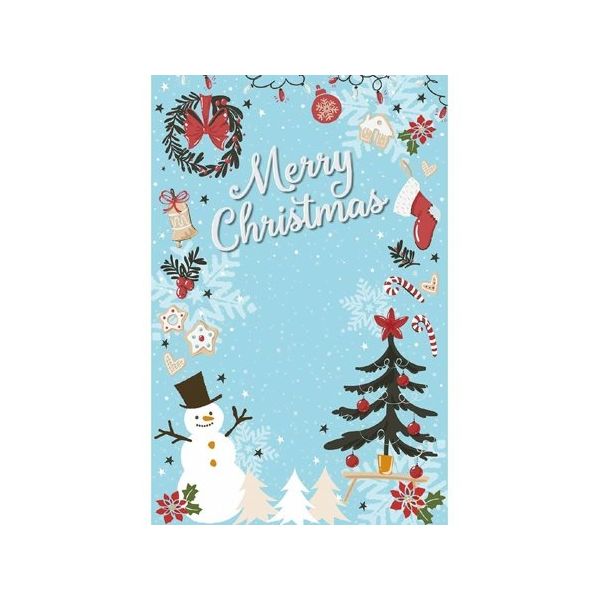 アズワン クリスマスマルチシート 65-8118-28 1セット（直送品）