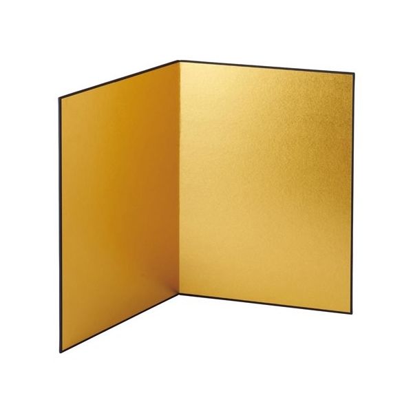 アズワン 金屏風大 65-8119-41 1セット（直送品）