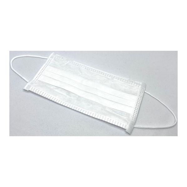 アズワン クリーンマスク 3層耳掛け 2，000枚入 65-8642-47 1ケース(2000枚)（直送品）