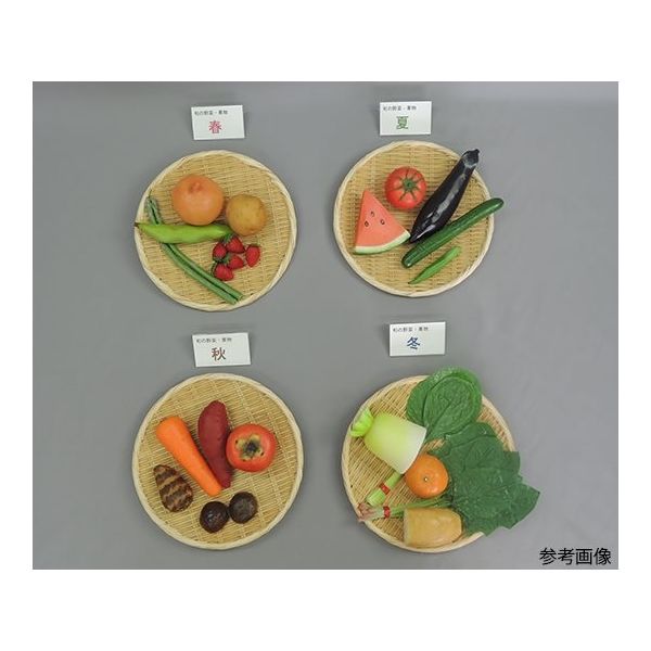 イワイサンプル 食育/旬の野菜・果物フードモデル 28品(ザル・プレート付) 53 1セット 63-6506-33（直送品）