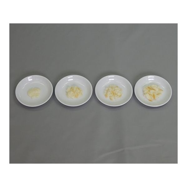 イワイサンプル フードモデル 離乳食・発達段階別素材単品 白身魚 44R-W 1セット 63-6506-37（直送品）