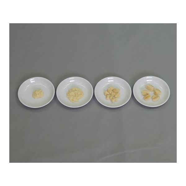 イワイサンプル フードモデル 離乳食・発達段階別素材単品 鶏肉 44R-V 1セット 63-6506-38（直送品）