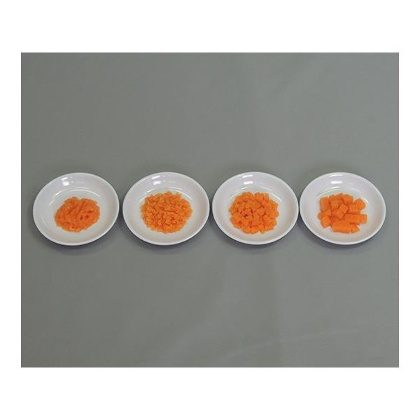 イワイサンプル フードモデル 離乳食・発達段階別素材単品 人参 44R-T 1セット 63-6506-40（直送品）
