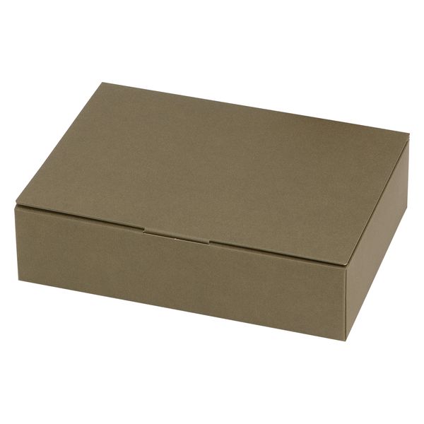 ヤマニパッケージ ＨＢギフトＢＯＸ　エスポア　Ｓ　アンバー 20-2499 1箱（50枚入）（直送品）