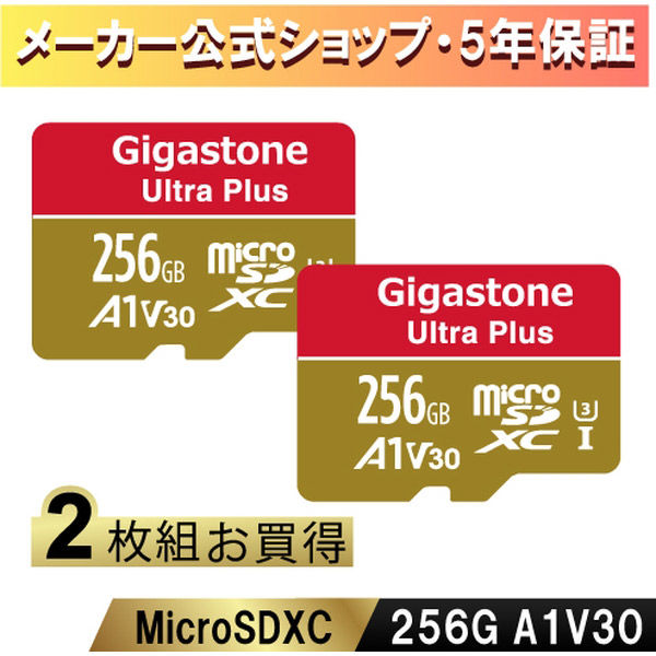 Nintendo Switch確認済マイクロSDカード 256GB 2枚セット Gigastone