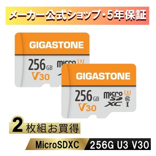 microSDカード V30 UHS-I U3 クラス10　2枚セット GJMXR-OG256GV30-2PK　Gigastone（直送品）