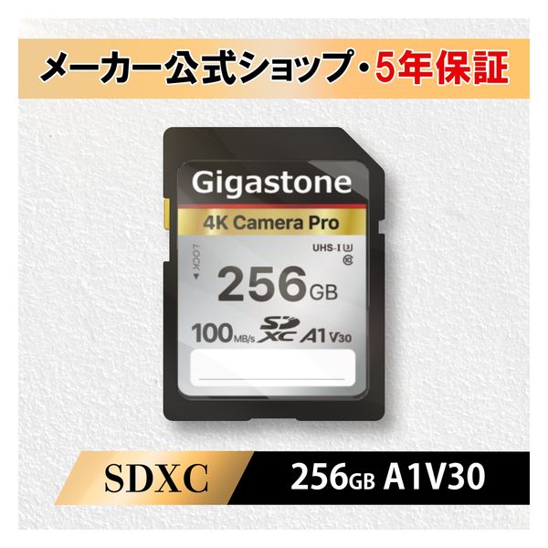 UHSI U3 クラス10 SDカード GJSXR4K256GV3A1 1枚 Gigastone（直送品） アスクル