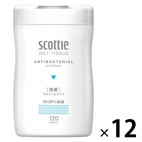 Amazon.co.jp: スコッティ ウェットティシュー 除菌 アルコール