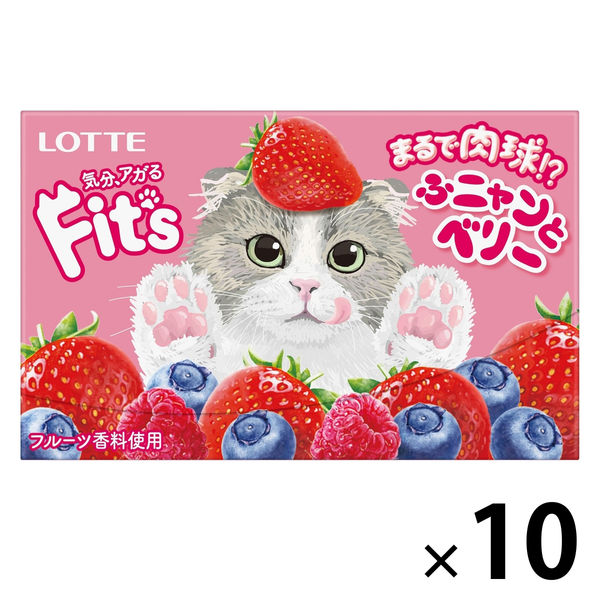 Fit's＜ふニャンとベリー＞ 10個 ロッテ ガム - アスクル