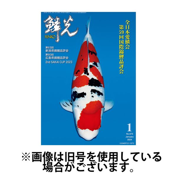 鱗光 2024/05/15発売号から1年(12冊)（直送品） - アスクル