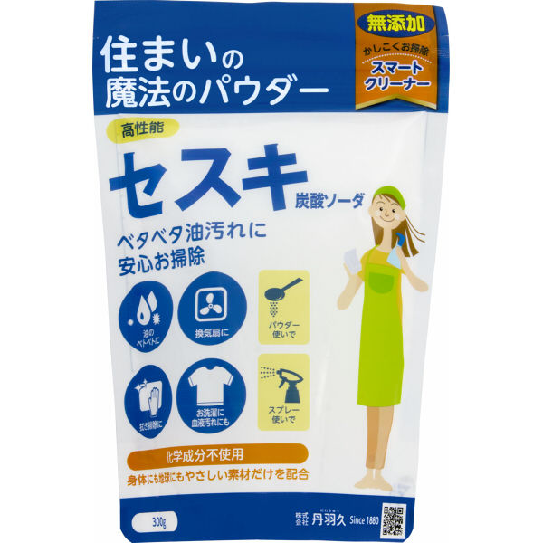丹羽久 キッチン用セスキ炭酸ソーダ 571046 1個 - アスクル