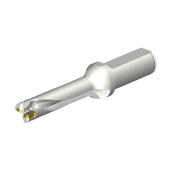 サンドビック SANDVIK コロドリルDS20刃先交換式ドリル(465) DS20-D1850L25-04 1本 350-9434（直送品）