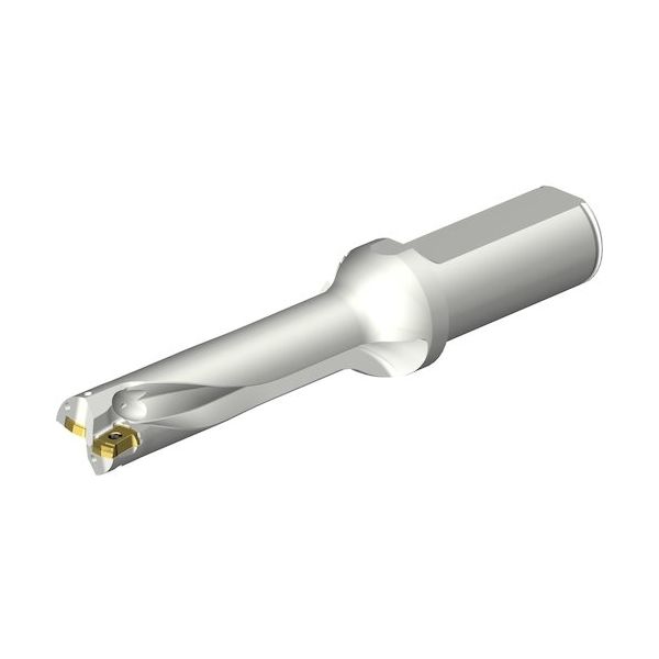 サンドビック SANDVIK コロドリルDS20刃先交換式ドリル(465) DS20-D1950L25-04 1本 352-0433（直送品）