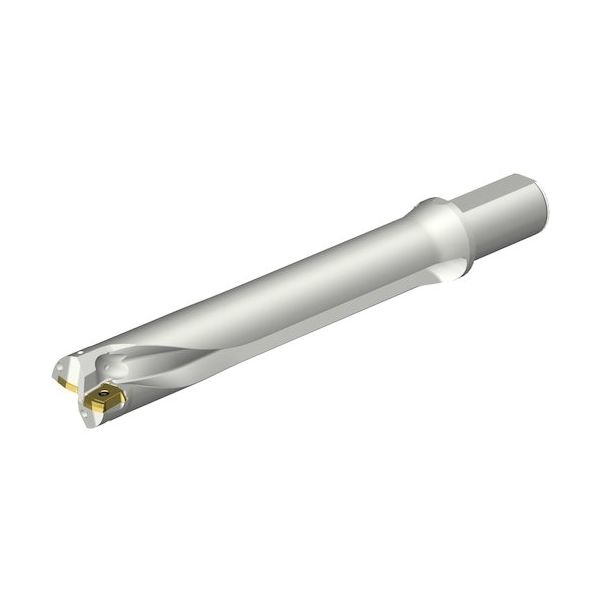 サンドビック SANDVIK コロドリルDS20刃先交換式ドリル(465) DS20-D4285LX38-06 1本 351-4147（直送品）