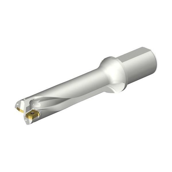 サンドビック SANDVIK コロドリルDS20刃先交換式ドリル(465) DS20-D4300L50-04 1本 351-0929（直送品）