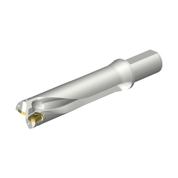 サンドビック SANDVIK コロドリルDS20刃先交換式ドリル(465) DS20-D4445LX38-04 1本 352-0410（直送品）