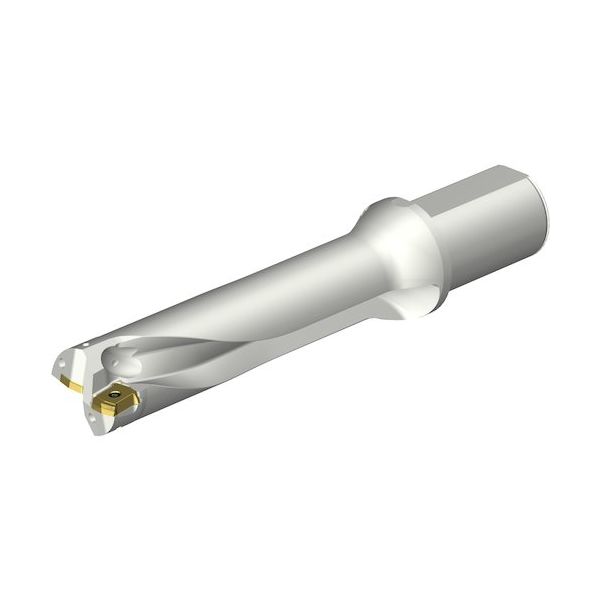 サンドビック SANDVIK コロドリルDS20刃先交換式ドリル(465) DS20-D4600L50-04 1本 351-2514（直送品）