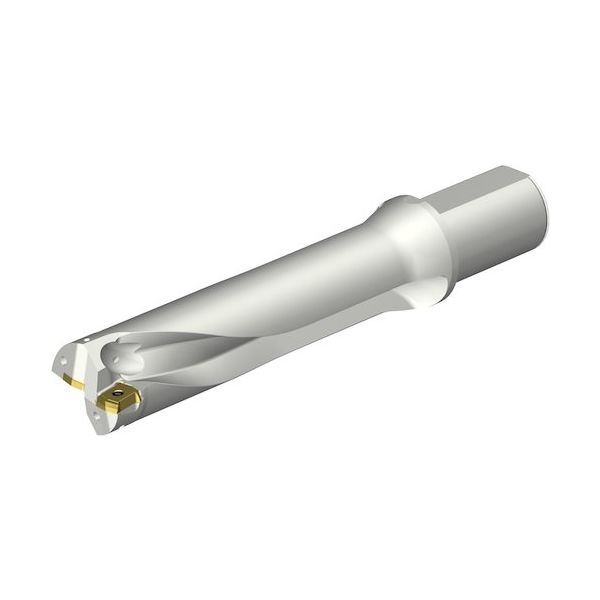 サンドビック SANDVIK コロドリルDS20刃先交換式ドリル(465) DS20-D5200L50-04 1本 352-0428（直送品）